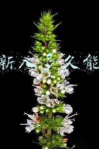 售楼新人多久能挣钱