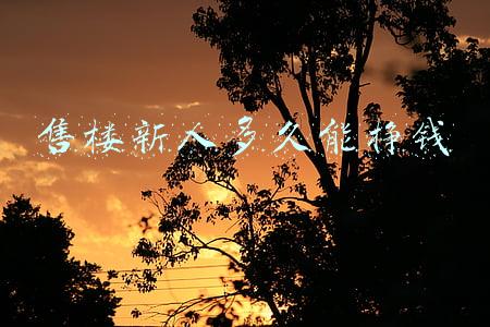 售楼新人多久能挣钱