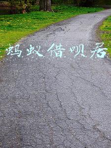 我的蚂蚁借呗居然50万