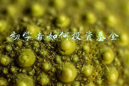 初学者如何投资基金