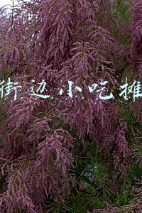 街边小吃摊