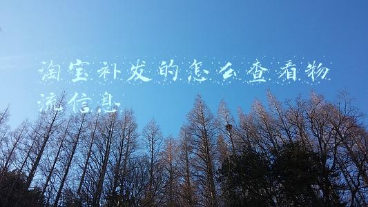 淘宝补发的怎么查看物流信息