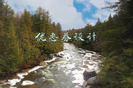 优惠券设计