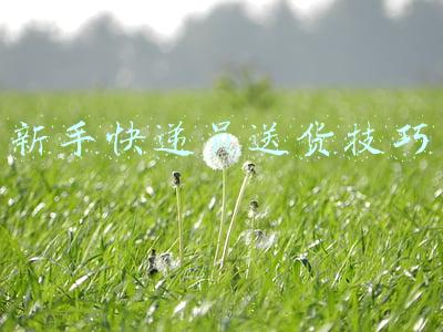 新手快递员送货技巧