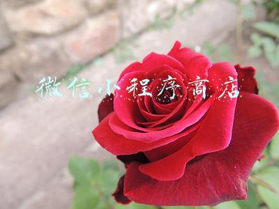 微信小程序商店