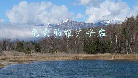 免费的推广平台