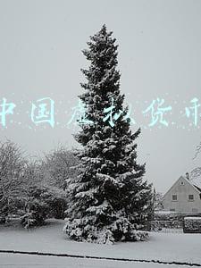 中国虚拟货币政策2022(央行：持续保持对虚拟货币交易炒作的高压打击态势)