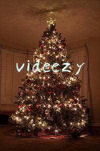 videezy