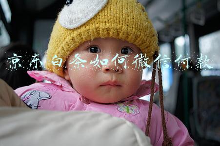 京东白条如何微信付款