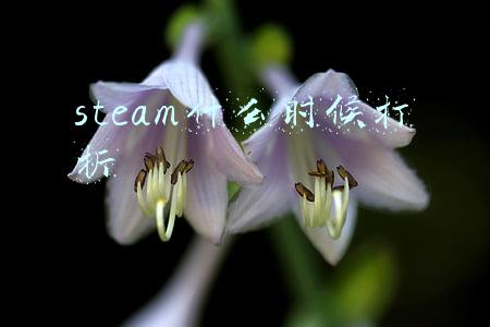 steam什么时候打折
