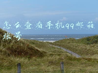 怎么查看手机qq邮箱账号