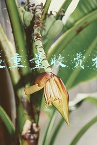 快递重量收费标准