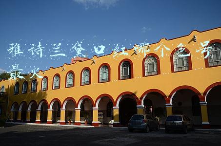 雅诗兰黛口红哪个色号最火
