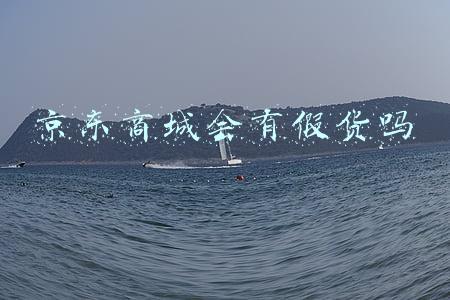 京东商城会有假货吗