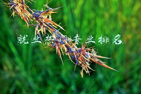就业热门专业排名