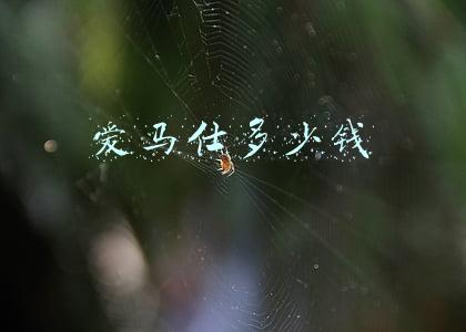 爱马仕多少钱