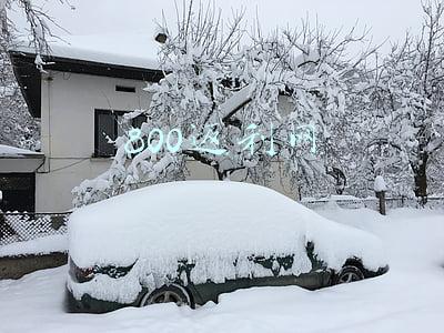 800返利网