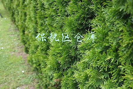 保税仓库收费标准(政策解答：一文了解保税仓库)