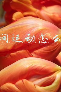 没时间运动怎么减肥