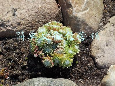 简单发微信营销