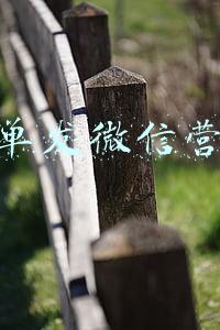 微信发工资条小程序(这是什么瓜皮操作？发工资当天，微信转账？)