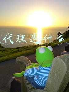 卡盟代理是什么意思