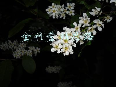全网营销思路