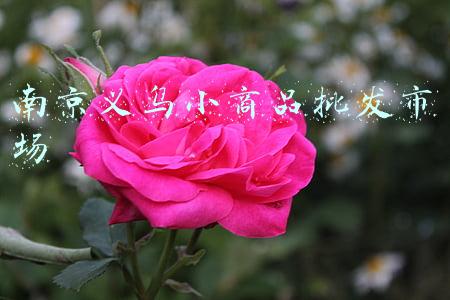 南京义乌小商品批发市场
