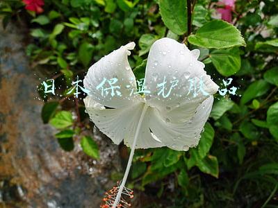 日本保湿护肤品