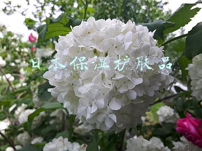 日本保湿护肤品