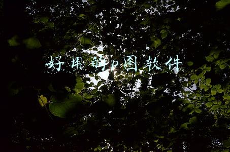 好用的p图软件