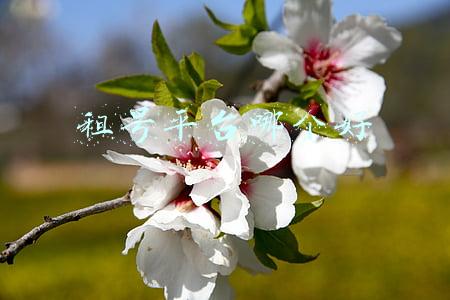 永劫无间租号平台哪个好(永劫无间全平台免费，双排就送宝箱，试玩数据将永久保留)