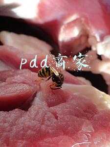 pdd商家