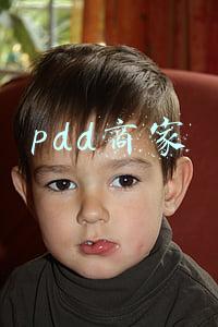 pdd商家