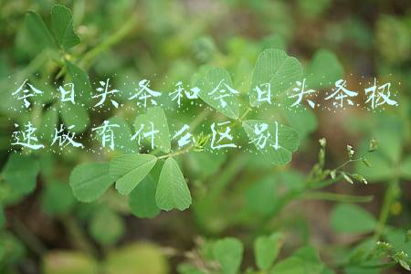 今日头条和今日头条极速版有什么区别