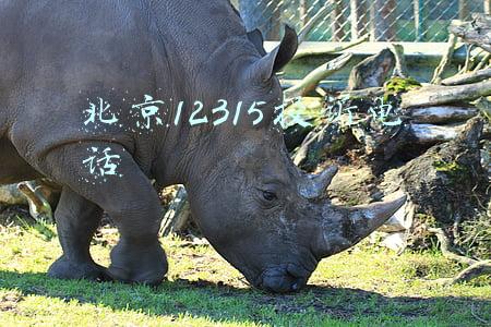 北京12315投诉电话