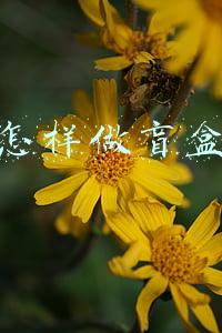 怎样做盲盒机(一杯有益的喝茶，浅谈新零售无人售货机之盲盒机)
