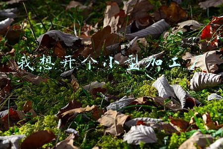 我想开个小型加工厂