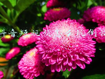 抖音短视频怎么玩倒放