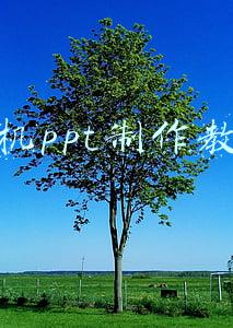 手机ppt制作教程