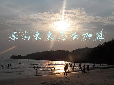 菜鸟裹裹怎么加盟