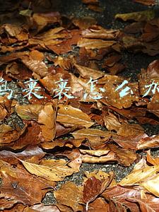 菜鸟裹裹怎么加盟站月收入多少钱(申通公布菜鸟裹裹最新数据：订单同比增长122%，快递员月增收3000元)