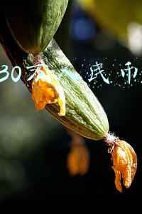 诛仙30万人民币的装备