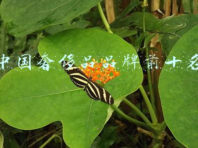 中国奢侈品品牌前十名