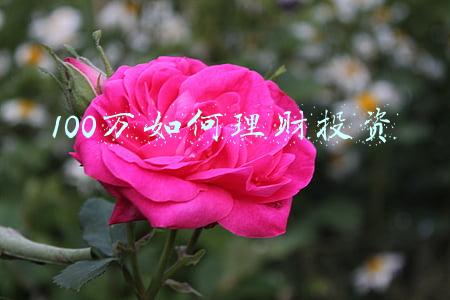 100万如何理财投资