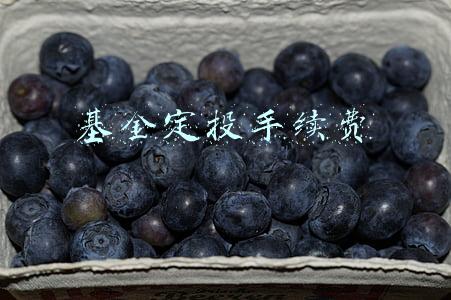 基金定投手续费