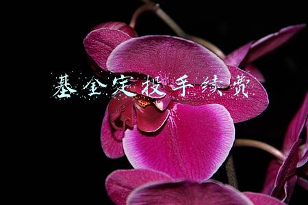 基金定投手续费
