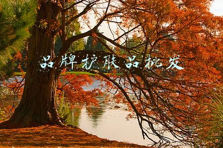 品牌护肤品批发