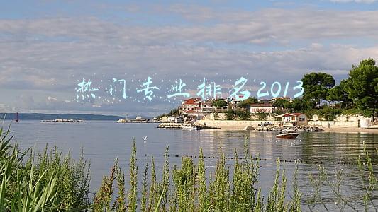 热门专业排名2013