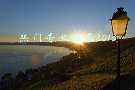 热门专业排名2021理科(2021年中国顶尖理科专业排名)